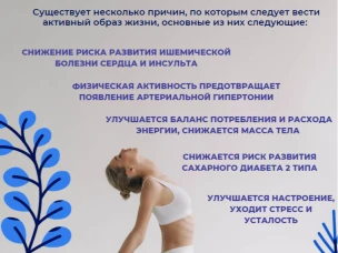 Почему физическая активность необходима каждому